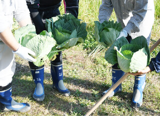 農園（園芸療法）